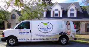 Pegasus Carpet Care Service Van